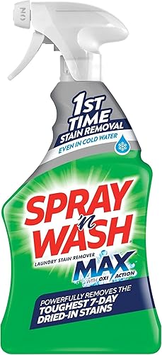 Spray N’ Wash Stain Remover Spray, Laundry Pre-Treat for Everyday Stains, 22oz