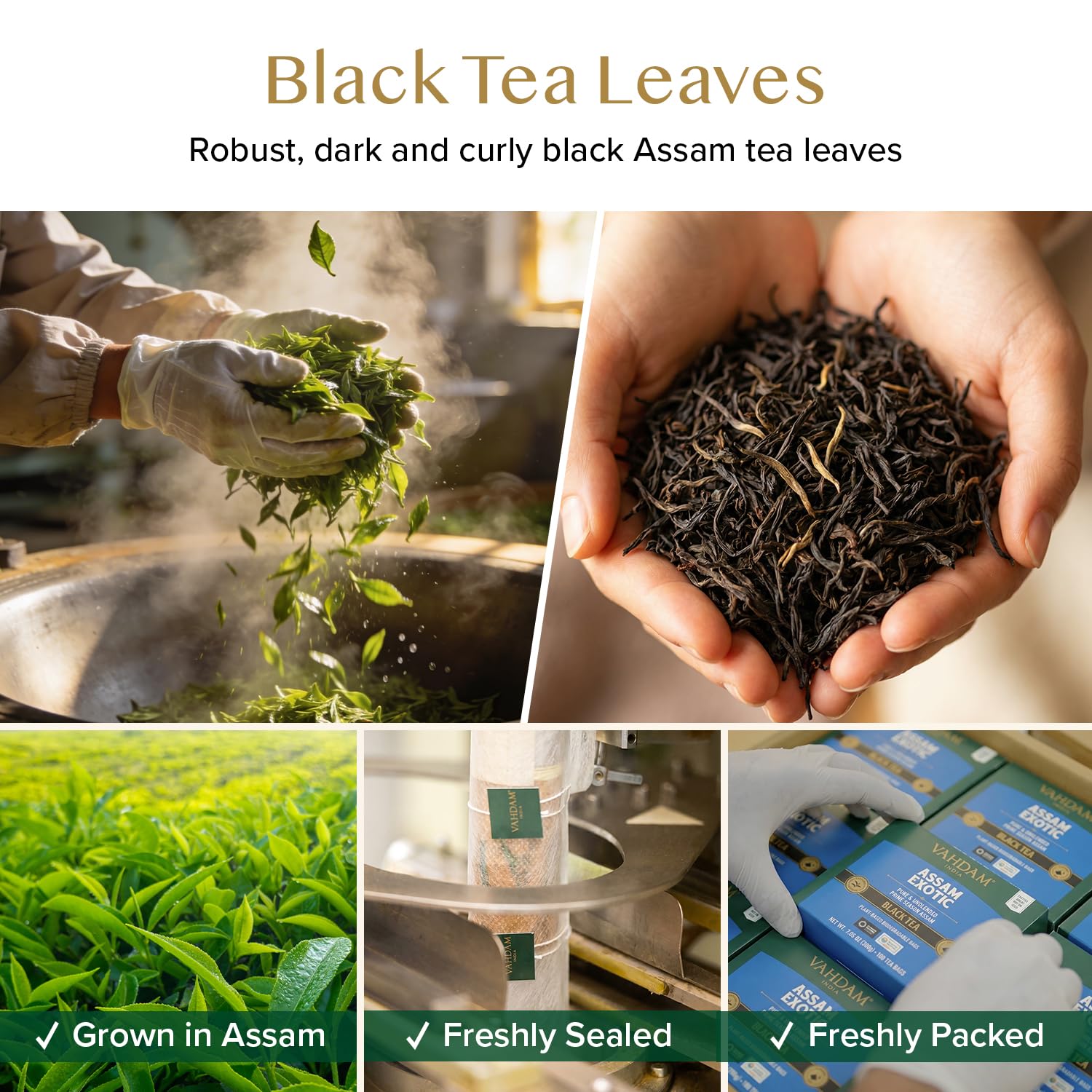 VAHDAM, Assam Exotic Black Tea Bags (100 Count) High Caffeine, Gluten Free, Full Bodied | Pyramid Tea Bags | Strong, Robust & Flavoury | Direct from