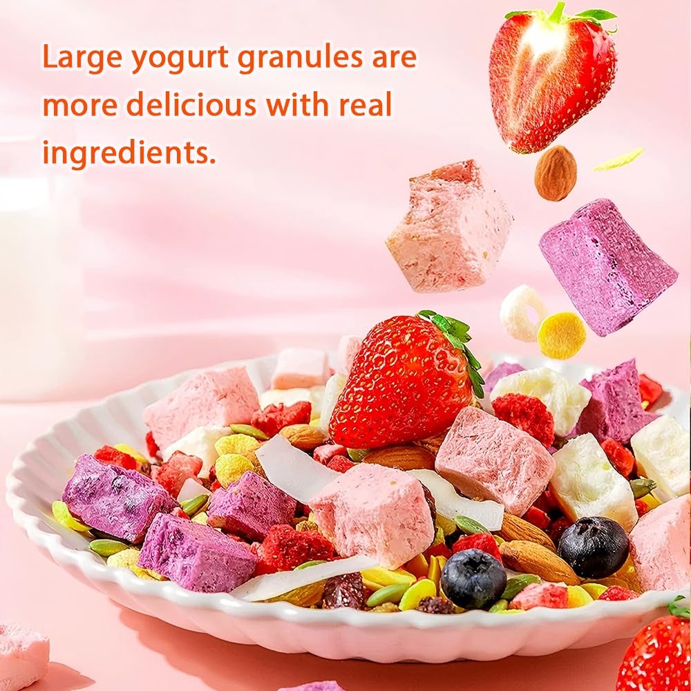 400g/14.1oz Chinese Granola With Freeze Dried Fruit,Chia Seeds,Oatmeal Instant,Fiber Cereal Breakfast,Congee,Chinese Cereal