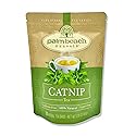 Catnip Tea - Pure Herbal Tea Series by Palm Beach Herbal Tea Company (30 Tea Bags) 100% Natural