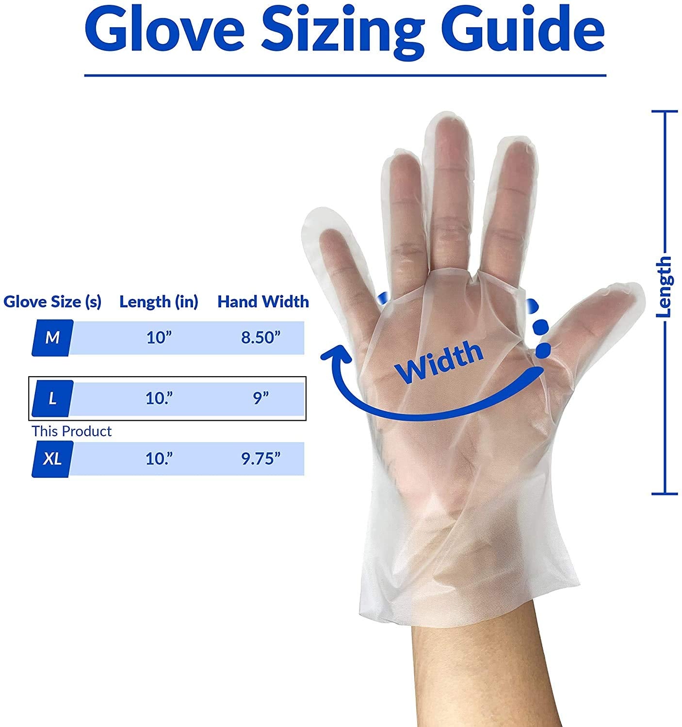 SunnyCare 1000 PCS TPE Food Service Gloves, Powder Free (Non Vinyl Latex) Medium