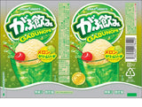 GABUNOMI Melon Cream Soda 500ml PET bottle (6)