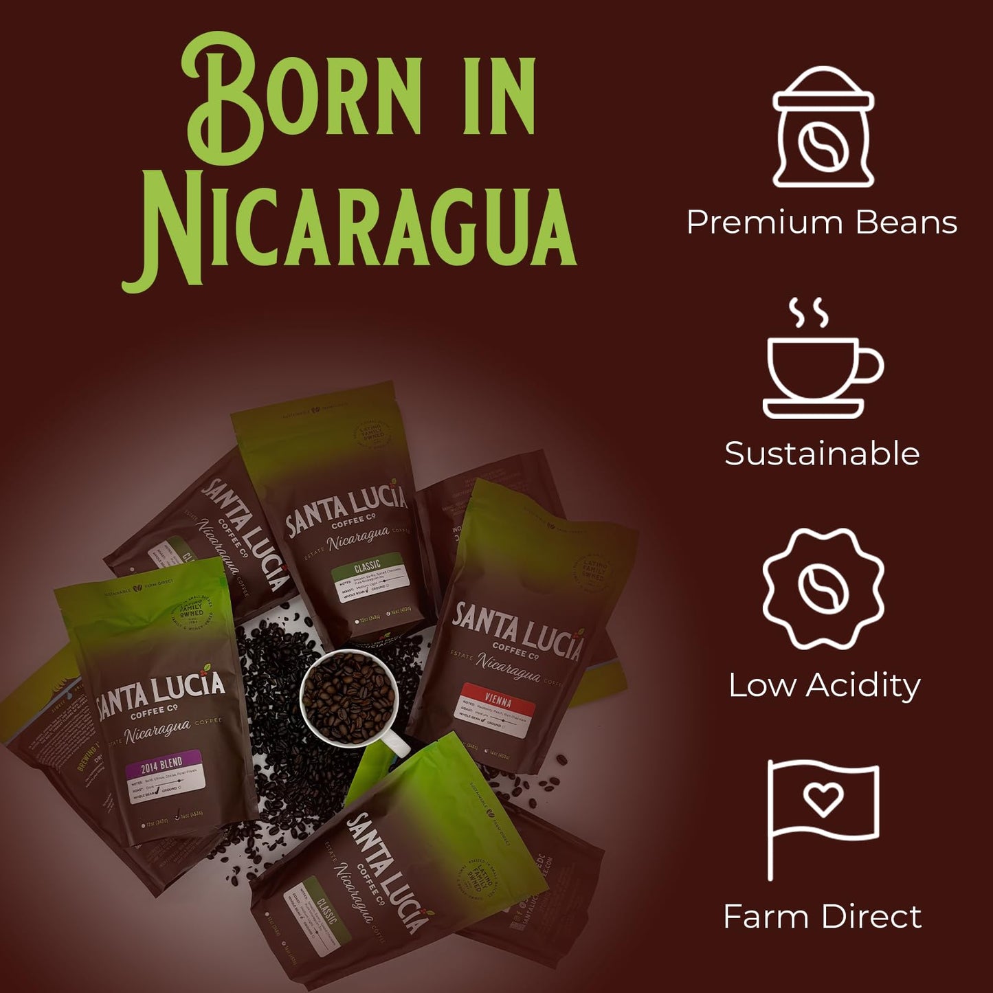 Santa Lucia Coffee Artisan Select Vienna Medium/Dark Roast Coffee - Specialty Nicaraguan Single-Origin - Small Batch - Rich & Smooth Flavor - Low Acid