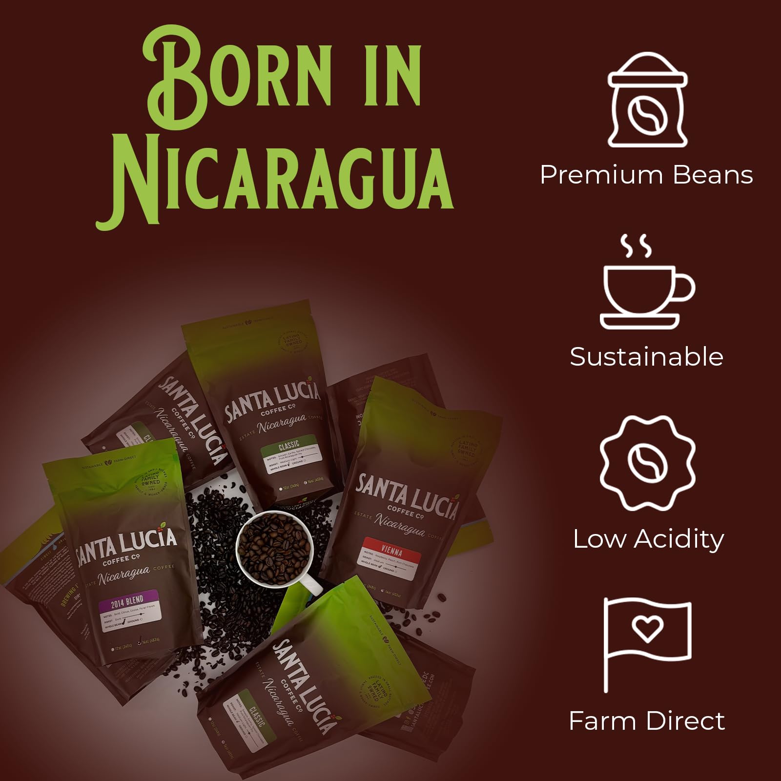 Santa Lucia Coffee Café Crema Espresso Roast Coffee - Specialty Volcanic Nicaraguan Espresso Roast - Farm-Direct, Low-Acid - Dense Golden Crema