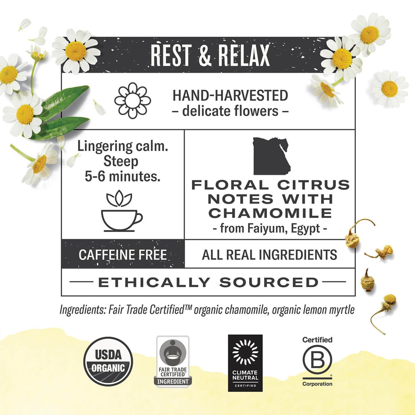 Numi Organic Chamomile Lemon Tea - 18 Tea Bags - Caffeine Free Calming Egyptian Chamomile & Lemon Myrtle - Caffeine Free Floral Citrus Herbal Tea