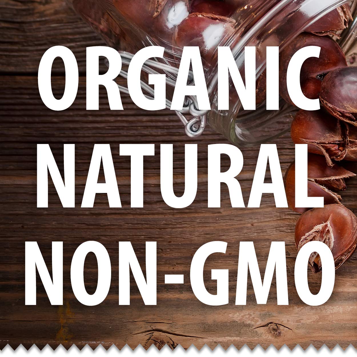Galil Organic Roasted Chestnuts - Shelled & Ready to Eat - Gluten Free, Vegan, Organic, Non-GMO, Kosher Snacks - Great for Baking, Cooking & Turkey