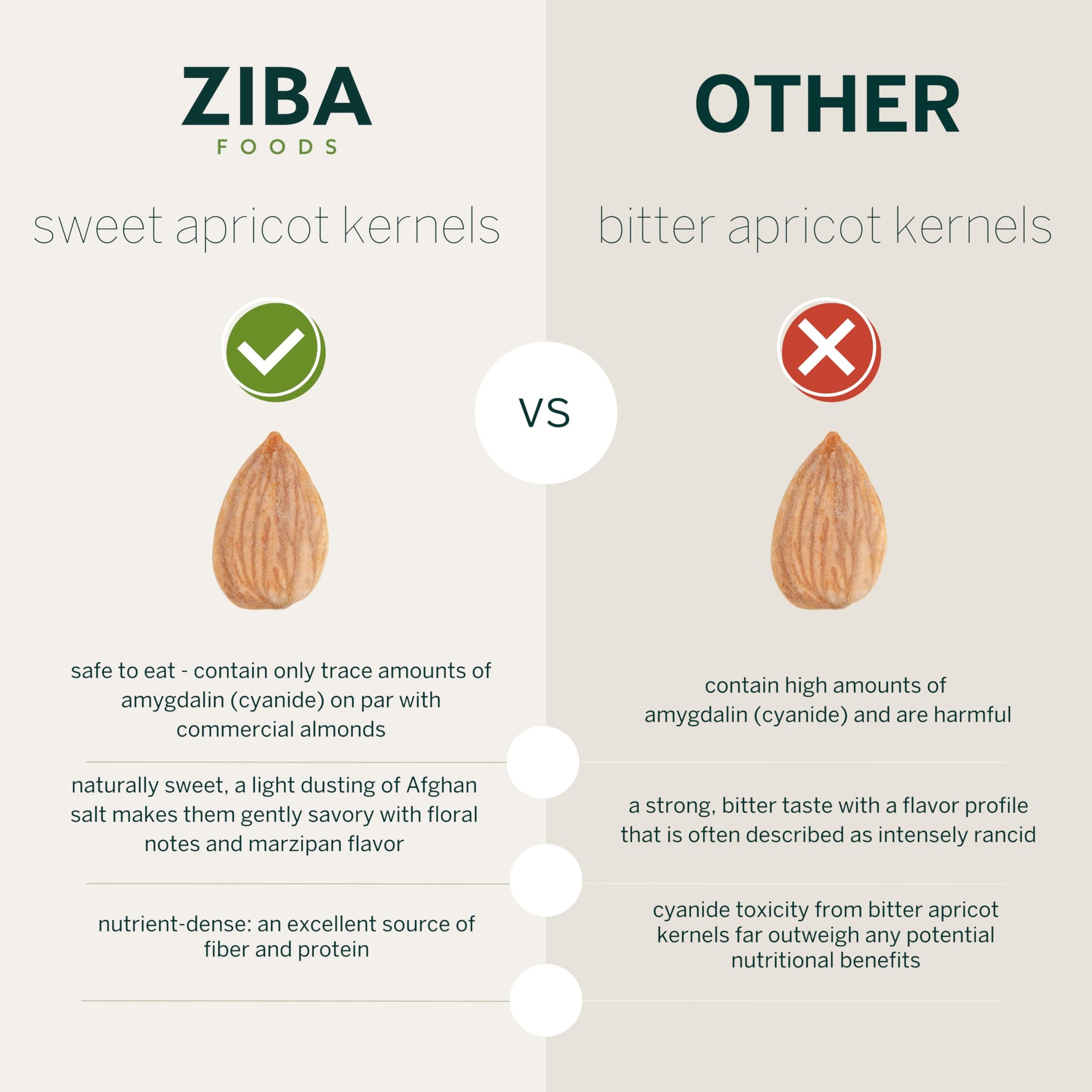 Ziba Foods Sweet Apricot Kernels | 5.3 oz | Non-GMO & Vegan Dried Apricot Seeds Whole 30 Friendly & Keto, Paleo, Dry Roasted Superseed | Wild Grown