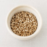 Amazake Co. Rice Koji, Japan-Crafted Dried Brown Rice Koji, Made with Organic Brown Rice, 17.6 oz (500g)