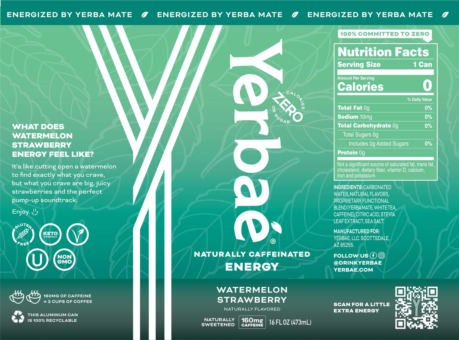 Yerbaé Energy Beverage - Variety Power Pack, 0 Sugar, 0 Calories, 0 Carbs. Yerbae is Energized by Yerba Mate, Plant-Based, Healthy Alternative