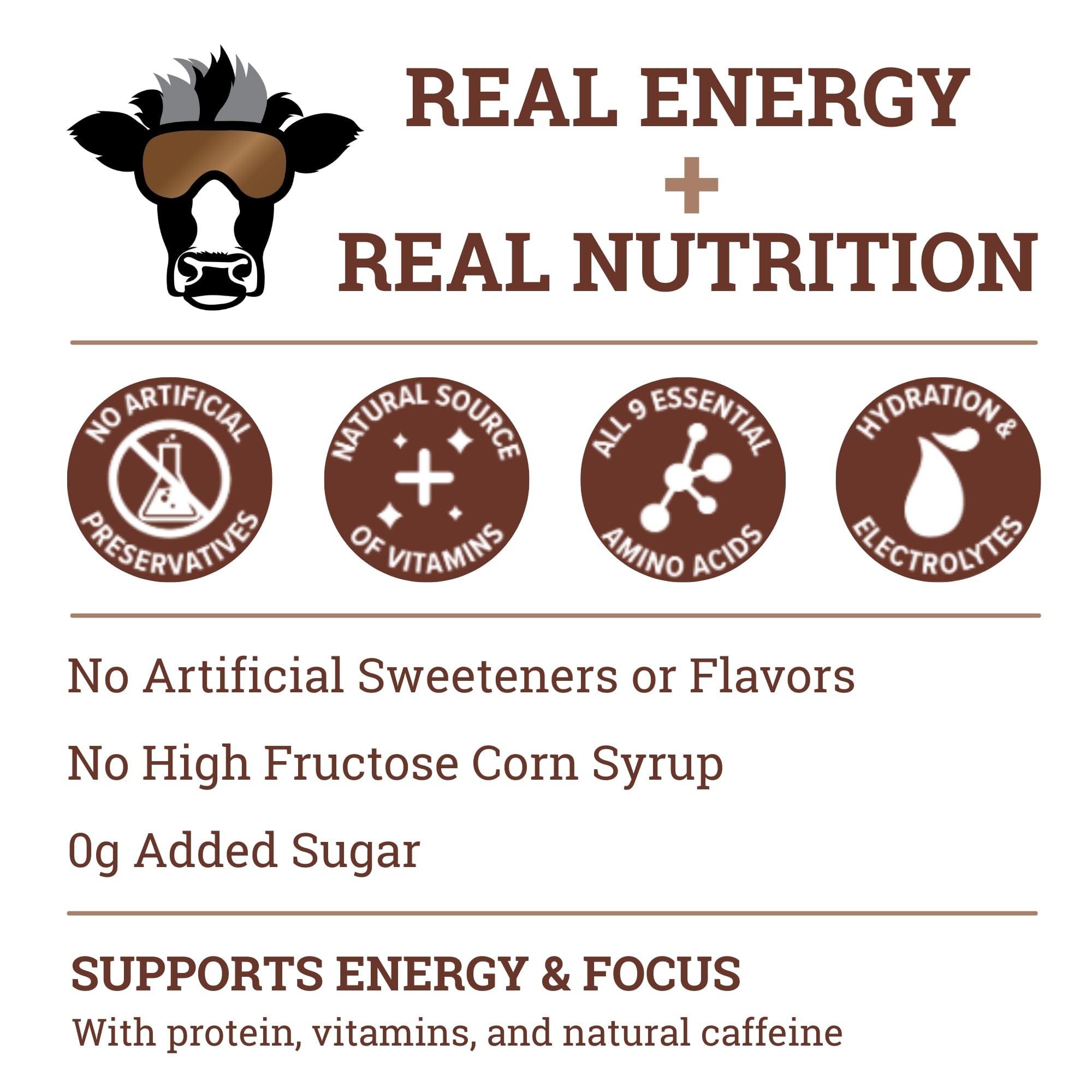 Dr. Cal’s Chocolate Milk Energy Drink - 150mg Natural Caffeine - 0g Added Sugar - Lactose Free - 12 Pack