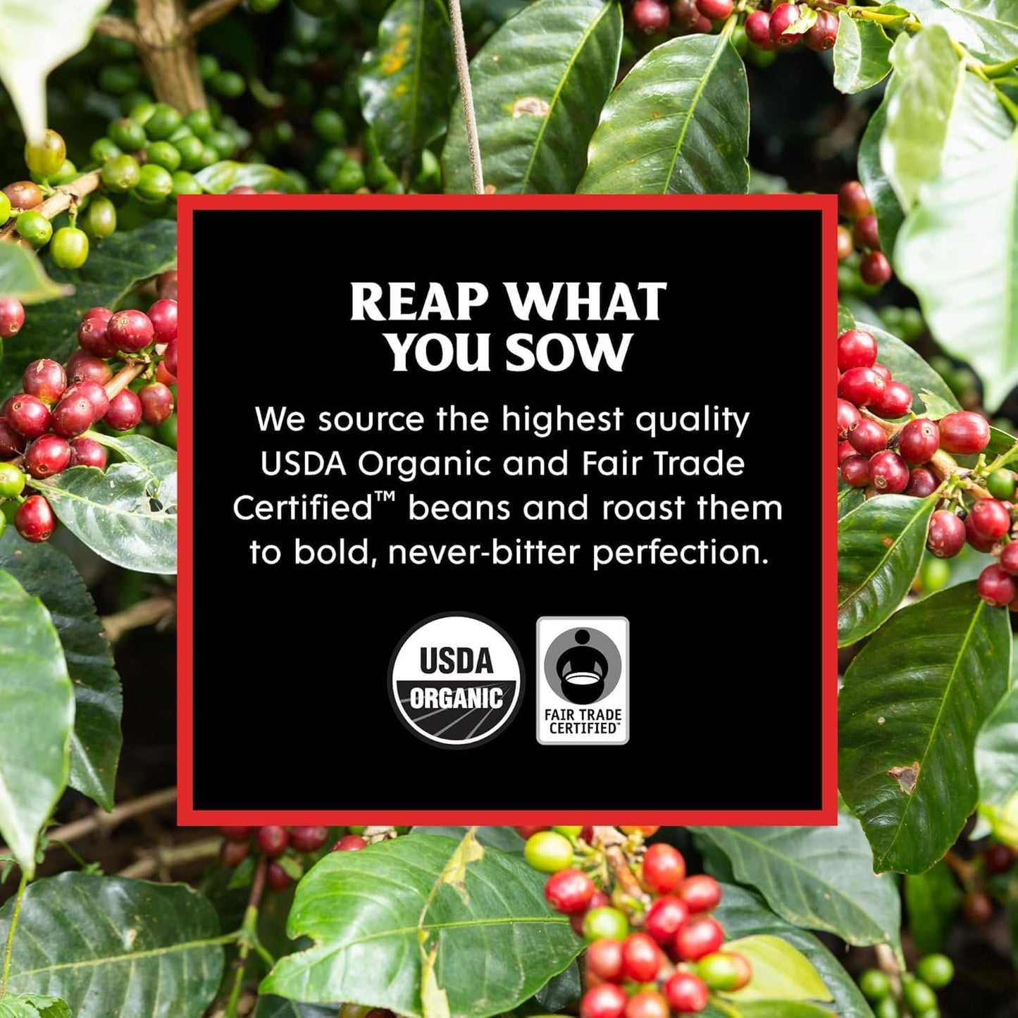 Death Wish Coffee, Power Surge Ground Coffee, Naturally Higher Caffeinated Coffee, Certified Fair Trade and Organic (16 oz)