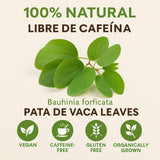 Pata de Vaca Tea (Cow’s Foot Tea) - 24 Tea Bags - 100% Natural Herbal Infusion - Organically Grown - Vegan, Non-GMO, Gluten-Free, Caffeine-Free