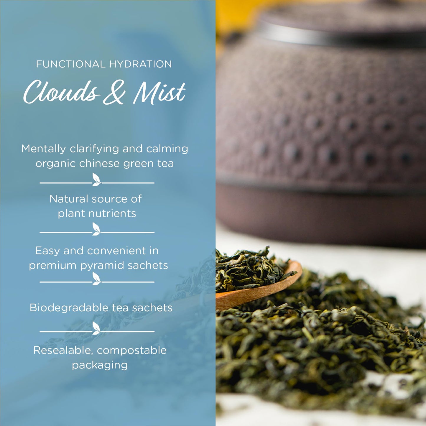 The Tea Spot Organic Clouds and Mist Green Tea | Yunwu Organic Green Tea with Smoky, Vegetal, and Citrus Aromas | 15 Tea Bags