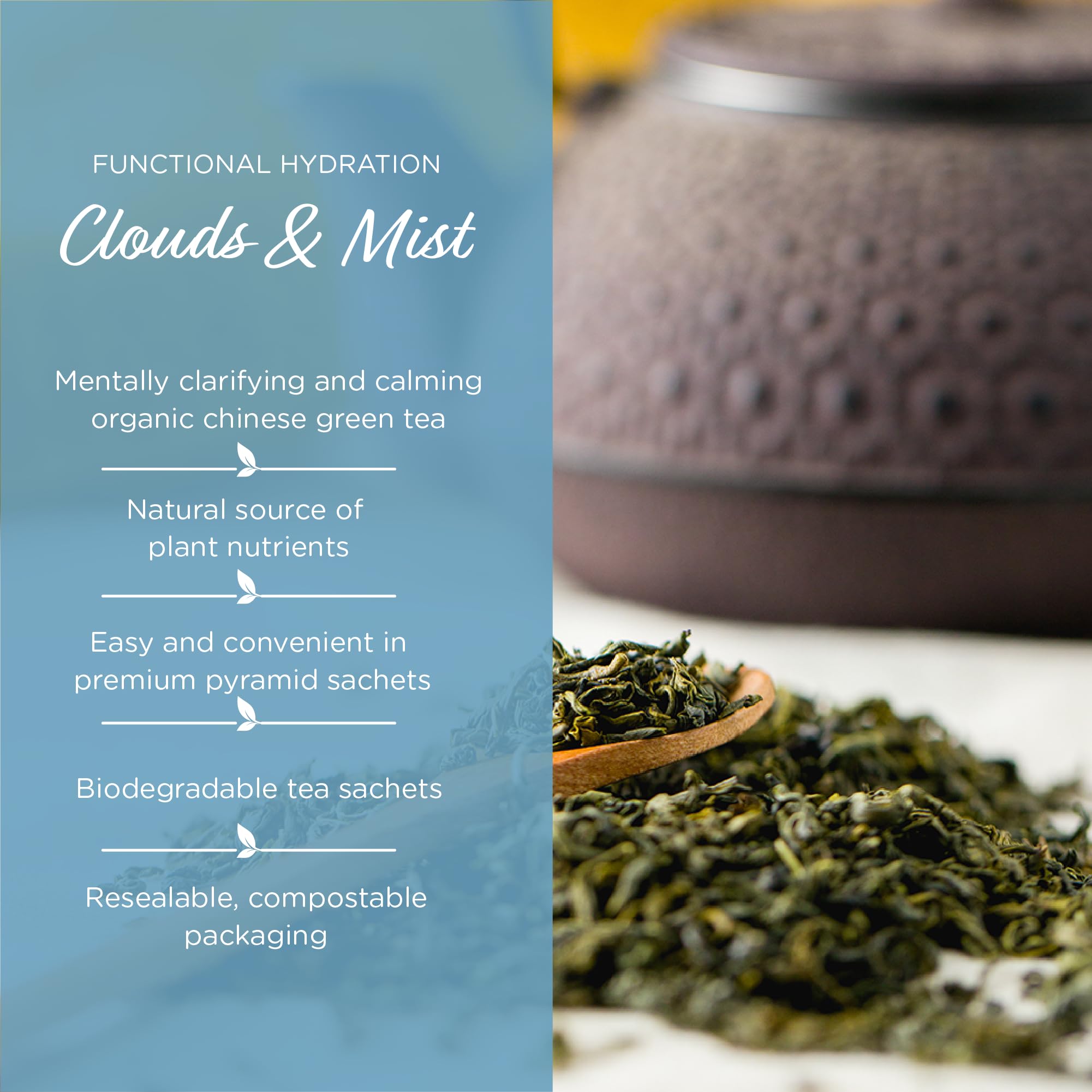 The Tea Spot Organic Clouds and Mist Green Tea | Yunwu Organic Green Tea with Smoky, Vegetal, and Citrus Aromas | 15 Tea Bags