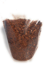 Jungle Cat Cacao Belizean Cacao Tea 10oz | Cacao Superfood - Theobromine - Gentle Stimulant - Magnesium - B Vitamins - Fantastic Strong Dark Chocolate
