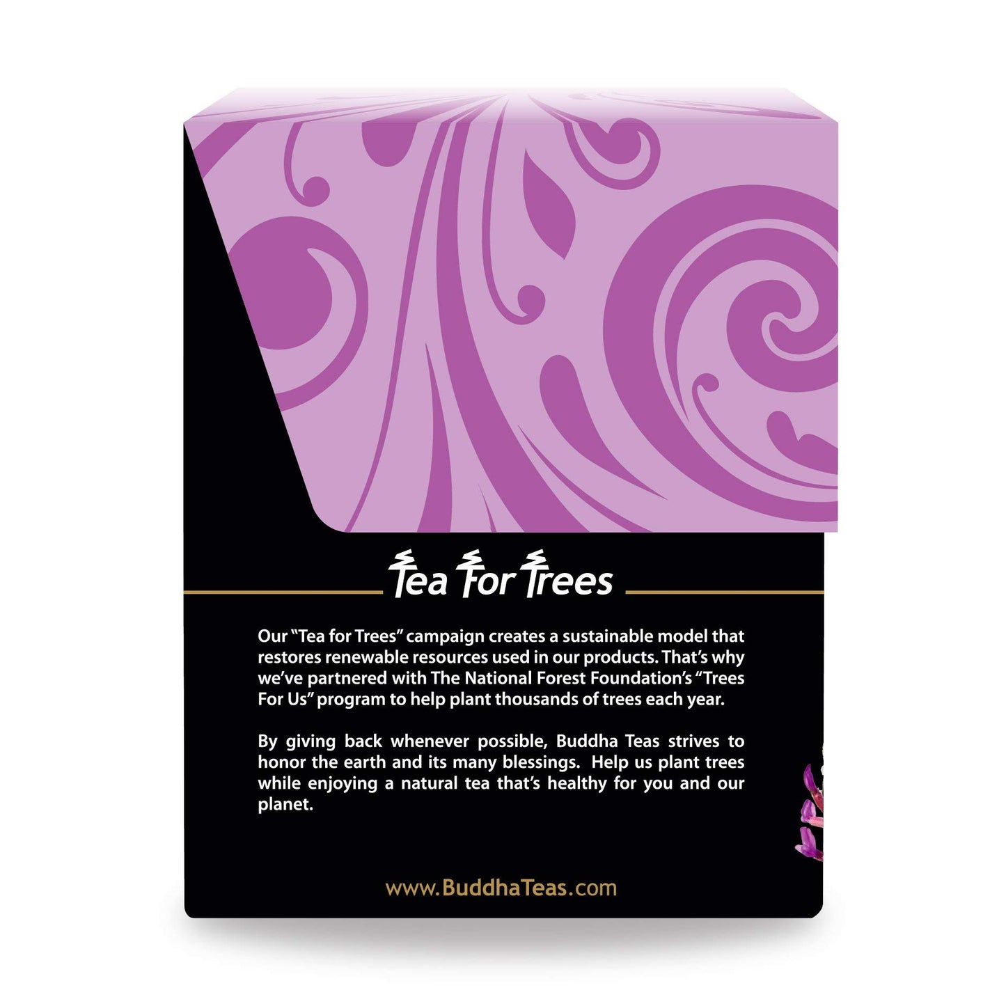 Buddha Teas Organic Astragalus Root Tea - OU Kosher, USDA Organic, CCOF, 18 Bleach-Free Tea Bag