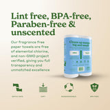 Caboo Tree Free Paper Towels, 2 Rolls, Tree Free, Plastic Free, Earth Friendly, Sustainable Kitchen Paper Towels with Strong 2 Ply Sheets