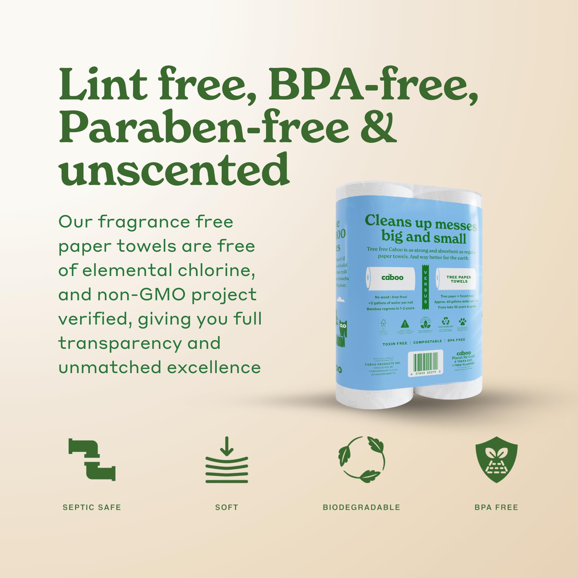 Caboo Tree Free Paper Towels, 2 Rolls, Tree Free, Plastic Free, Earth Friendly, Sustainable Kitchen Paper Towels with Strong 2 Ply Sheets