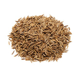 Essential Spice Caraway Seeds, 25 lb - Warm, Earthy & Slightly Sweet Flavor - Perfect for Rye Bread, Sauerkraut, Stews, Roasts & European Cuisine