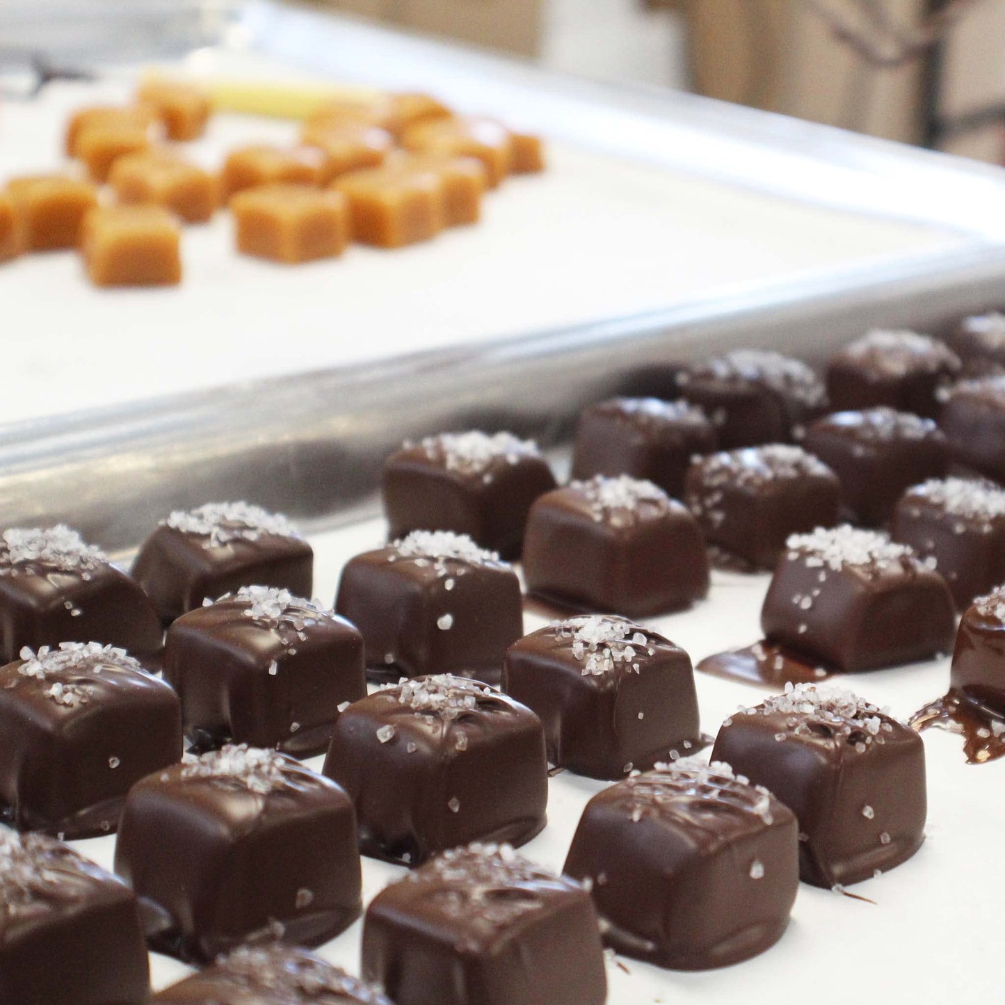 Vermont Nut Free Chocolates Dark Chocolate Sea Salt Caramels (9-Piece), Nut-Free, Kosher