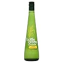 Bottle Green - Cordials - Ginger & Lemongrass - 500ml