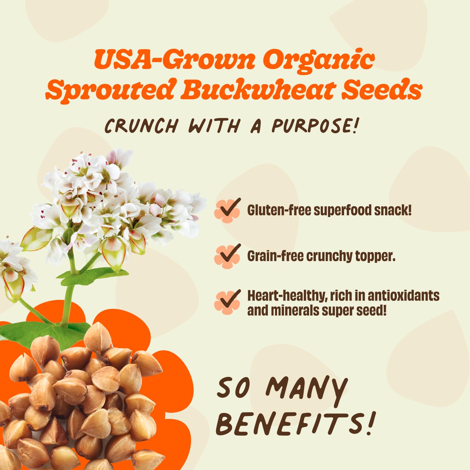 Lil Bucks Sprouted Regeneratively Grown Buckwheat Seeds- Paleo Cereal, Gluten-Free Granola, High in Protein, Low Sugar, Organic Superseed Crunch