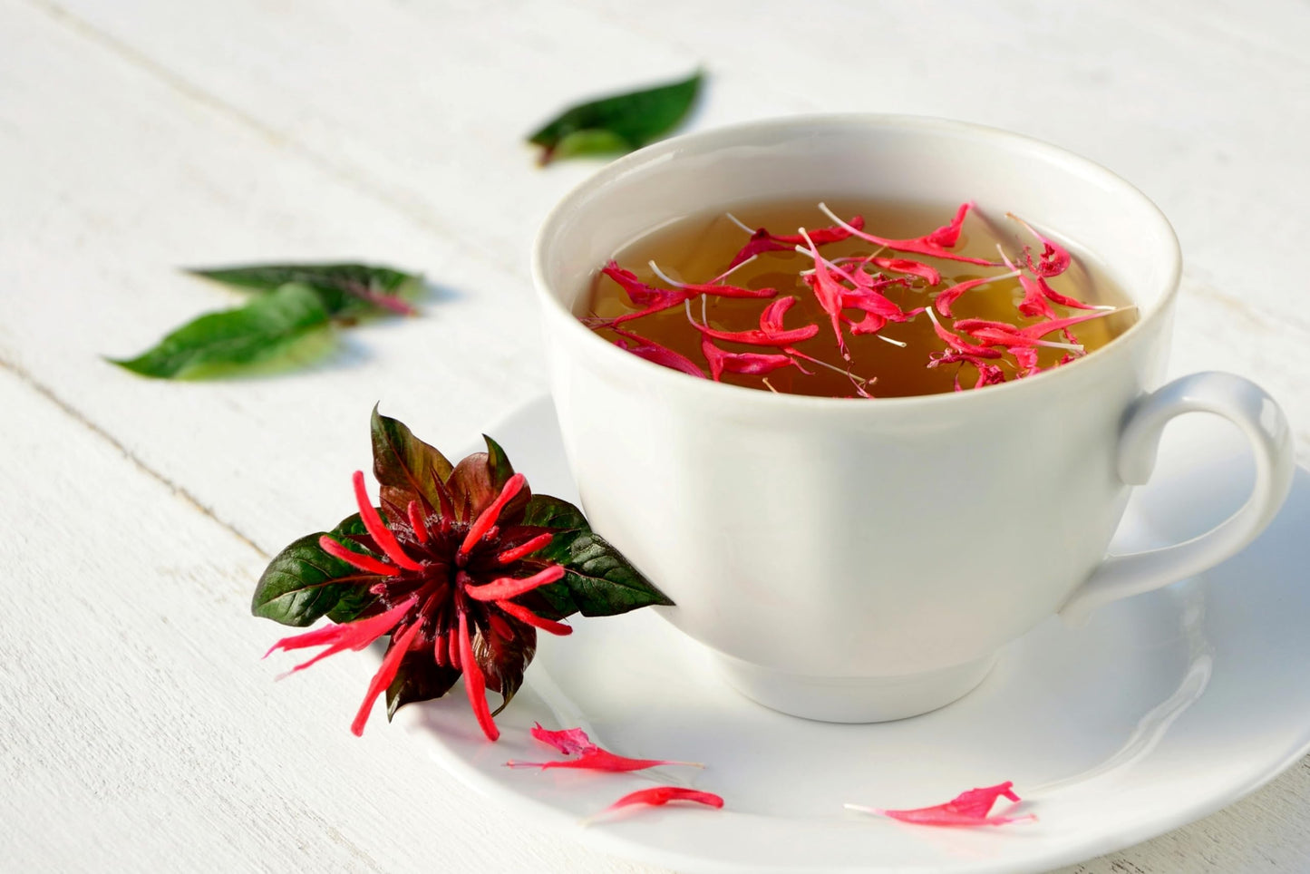 Wild Bergamot Petals - Pure, Dried, Natural Scarlet Beebalm Petals (Monarda Didyma) - Net Weight: 0.1oz/3g - Edible, Extremely Rare - Beautiful