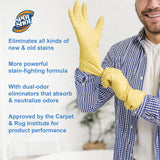 Spot Shot Instant Carpet Stain Remover, Aerosol, 14 OZ