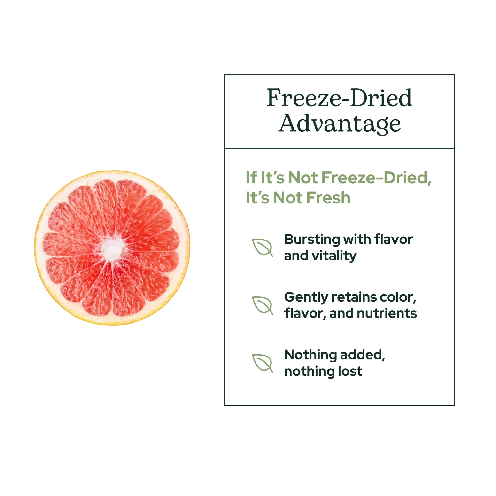 Eclectic Herb - Organic Grapefruit Powder Supplement | Vitamin, Mineral + Phytonutrient Support | Nutritional Drink Mix + Vitamin Powder | USDA