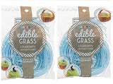 Grandys Candys Edible Easter Grass- Green Apple, Blueberry, Strawberry, & Multi Flavored Bundle-Fun and Delicious Way to Complete Your Easter Baskets