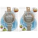 Grandys Candys Edible Easter Grass- Green Apple, Blueberry, Strawberry, & Multi Flavored Bundle-Fun and Delicious Way to Complete Your Easter Baskets