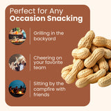 Wellsley Farms Salted Roasted Peanuts In Shell, USA Grown Whole, Non-GMO, Gluten-Free, Vegan, Cholesterol-Free, Shell-Cracking Snack for Game Day, BBQ