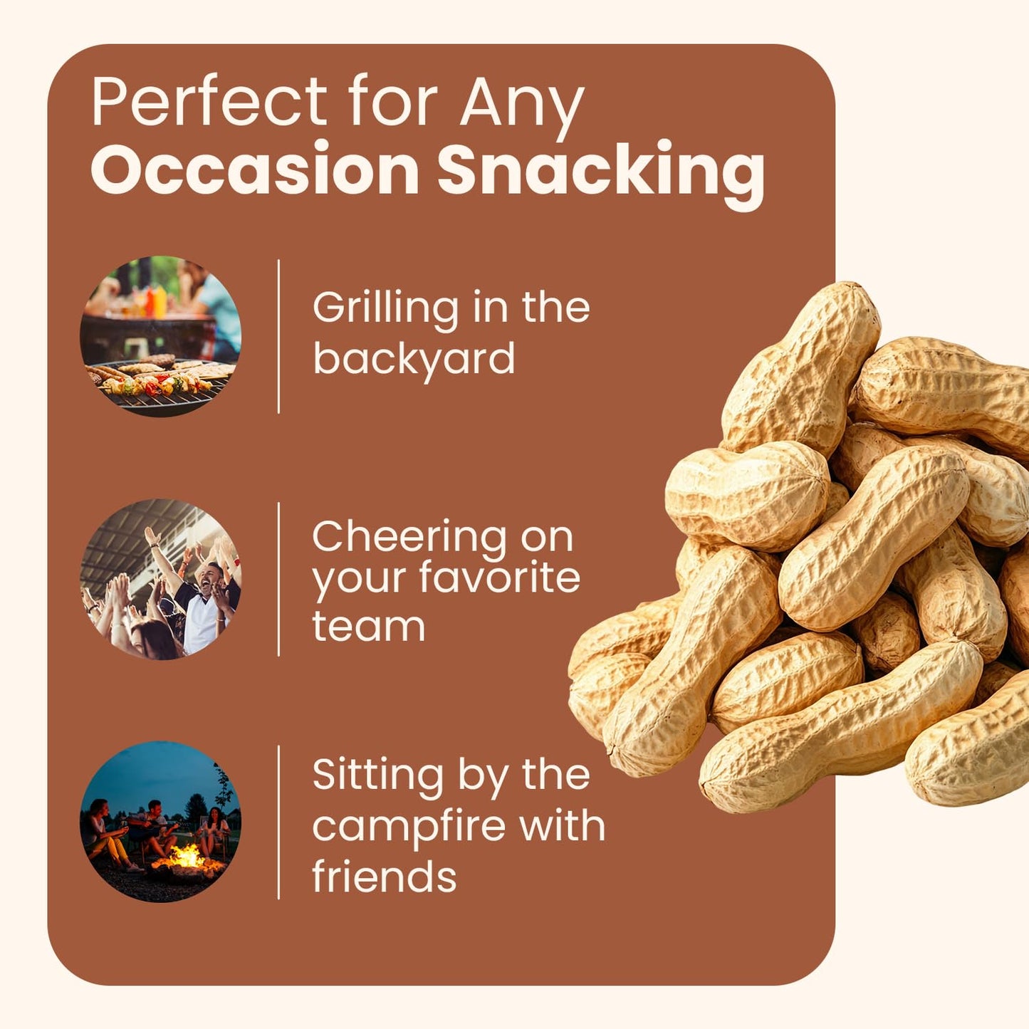 Wellsley Farms Unsalted Roasted In-Shell Peanuts, USA Grown Whole with Shell, Non-GMO, Low Sodium, Cholesterol-Free, Shell-Cracking Snack for Game