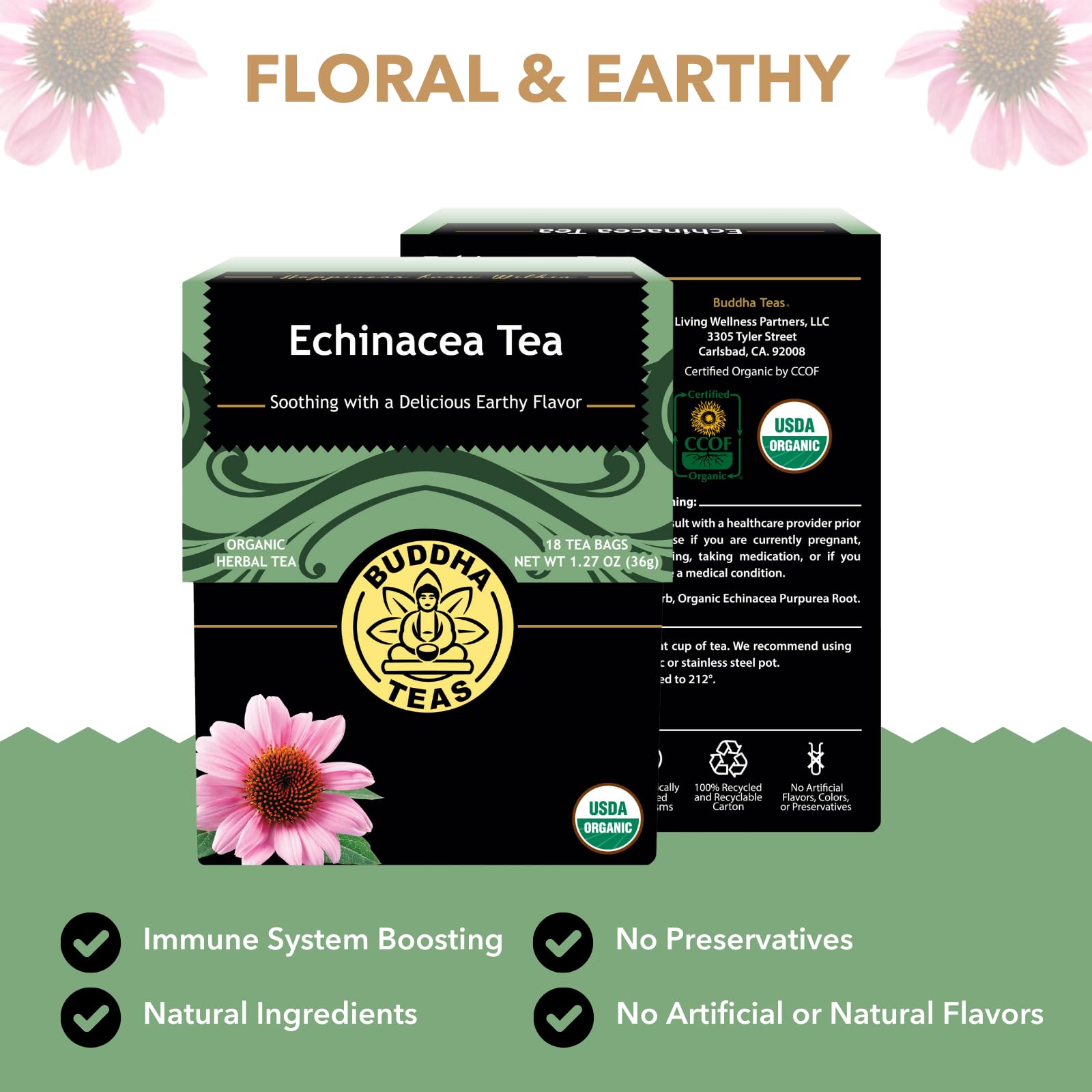 Buddha Teas - Organic Echinacea Tea - Herbal Tea - Immune Boosting - With Antioxidants & Minerals - Clean Ingredients - Caffeine Free - 18 Tea Bags