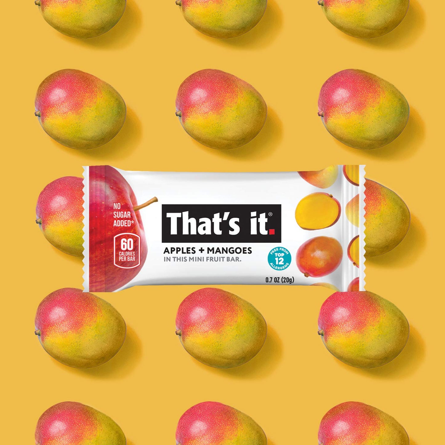 That's it. Mini Fruit Bars Variety (20 Pack) No Sugar Added, Plant-Based, Vegan & Gluten Free, Breakfast Bar, Paleo, for Children & Adults, Non GMO