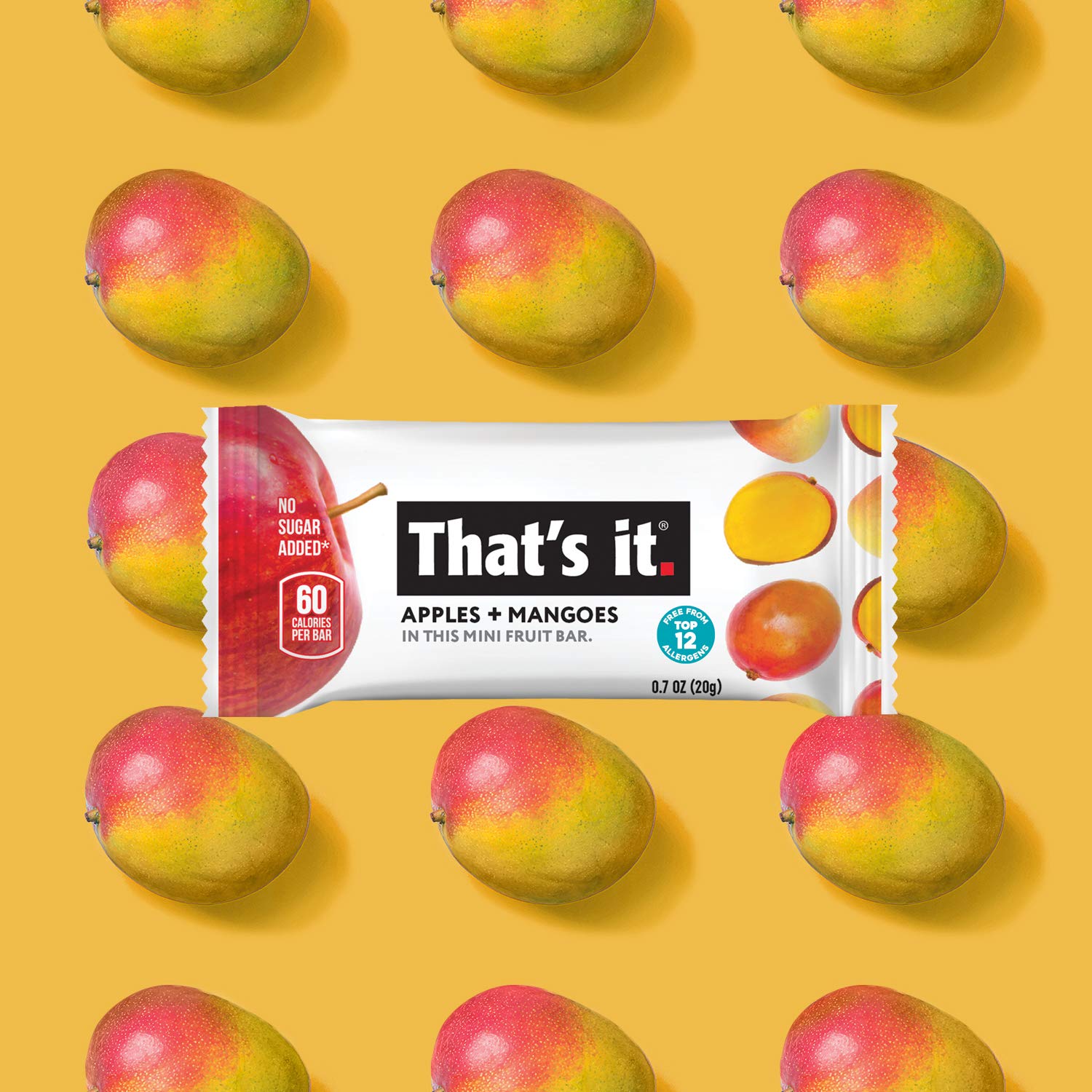 That's it. Mini Fruit Bars Variety (20 Pack) No Sugar Added, Plant-Based, Vegan & Gluten Free, Breakfast Bar, Paleo, for Children & Adults, Non GMO