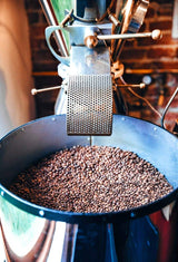 Medium Roast Whole Beans Guatemala Coffee, Specialty Grade, Single Estate- Farm Direct Trade, Shaded Grown at Kafetos Family Owned Farm 16 oz