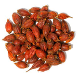 Hapsmiley Gardenia Fruit (Gardenia Fruit/Gardeniae Fructus/Zhi Zi Guo/???) Dried Bulk Herbs - 3.5 oz (100g)