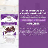 Hayden Valley Foods Milk Chocolate Covered Raisins | 26 oz Resealable Bag | No Artificial Flavors, Preservatives or Colors | Bulk Gourmet Sweet Fruit