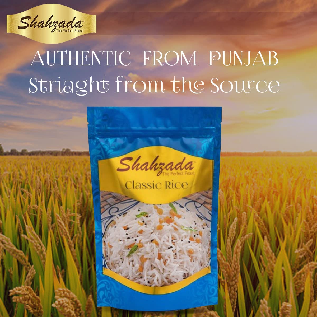 Shahzada Classic White Rice 02 lbs - Great Fragrant Rice for Daily Use, Aged, Aromatic, Flavorful & Slender, Quick Cooking. Everyday - Vegan, GLUTEN FREE, Non-GMO, Low Sodium, No Cholesterol, Resealable Zip-Lock Bag to Seal Freshness - 02 Pound Packing - 32 Oz