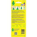 LITTLE TREES Car Air Freshener | Hanging Paper Tree for Home or Car | Blackberry Clove | Pack of 24