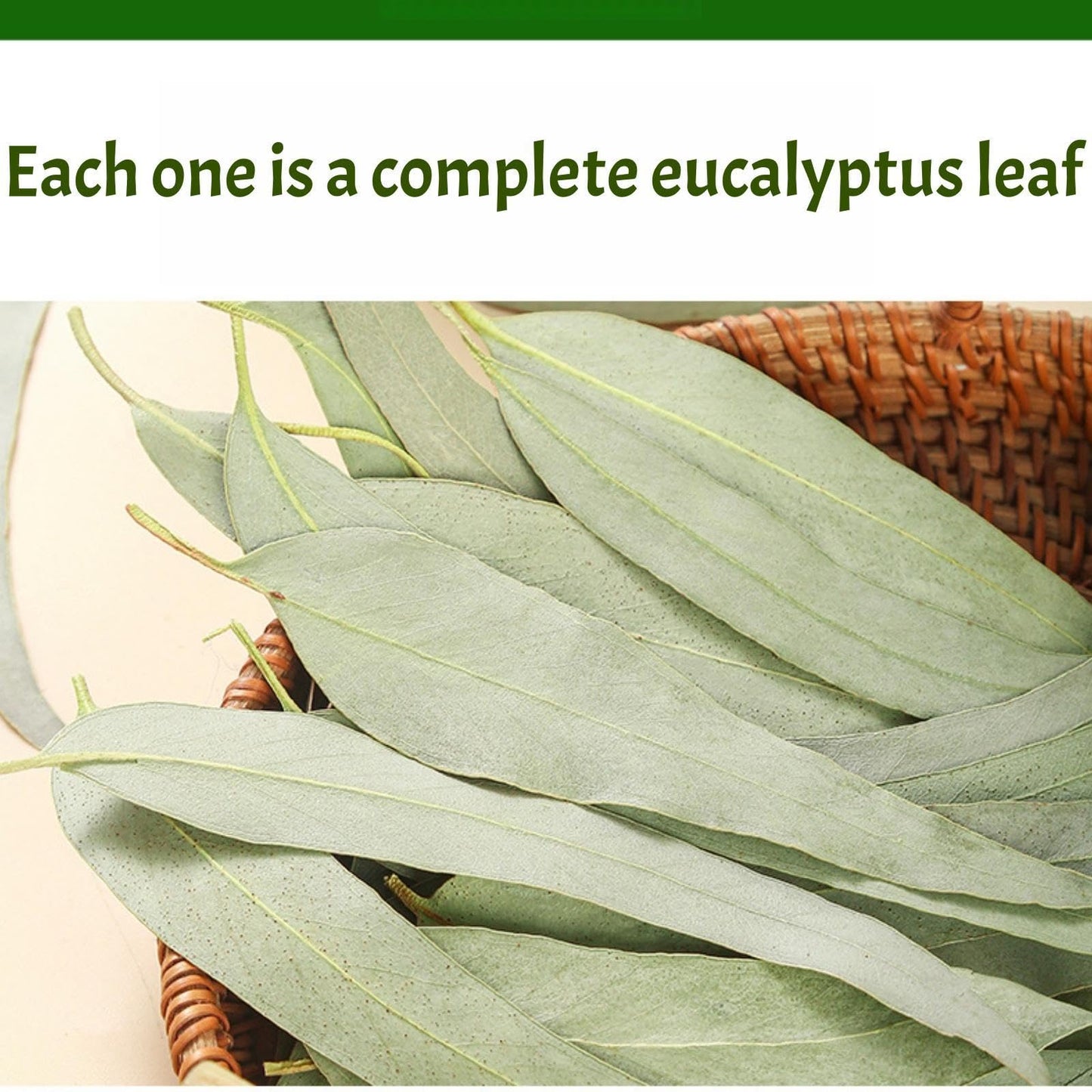 Dried Eucalyptus Leaves - 4oz (114g) Whole Leaf | Resealable Pouch | Botanical Ingredient for Aromatherapy & Tea Blends | Caffeine-Free Plant Material