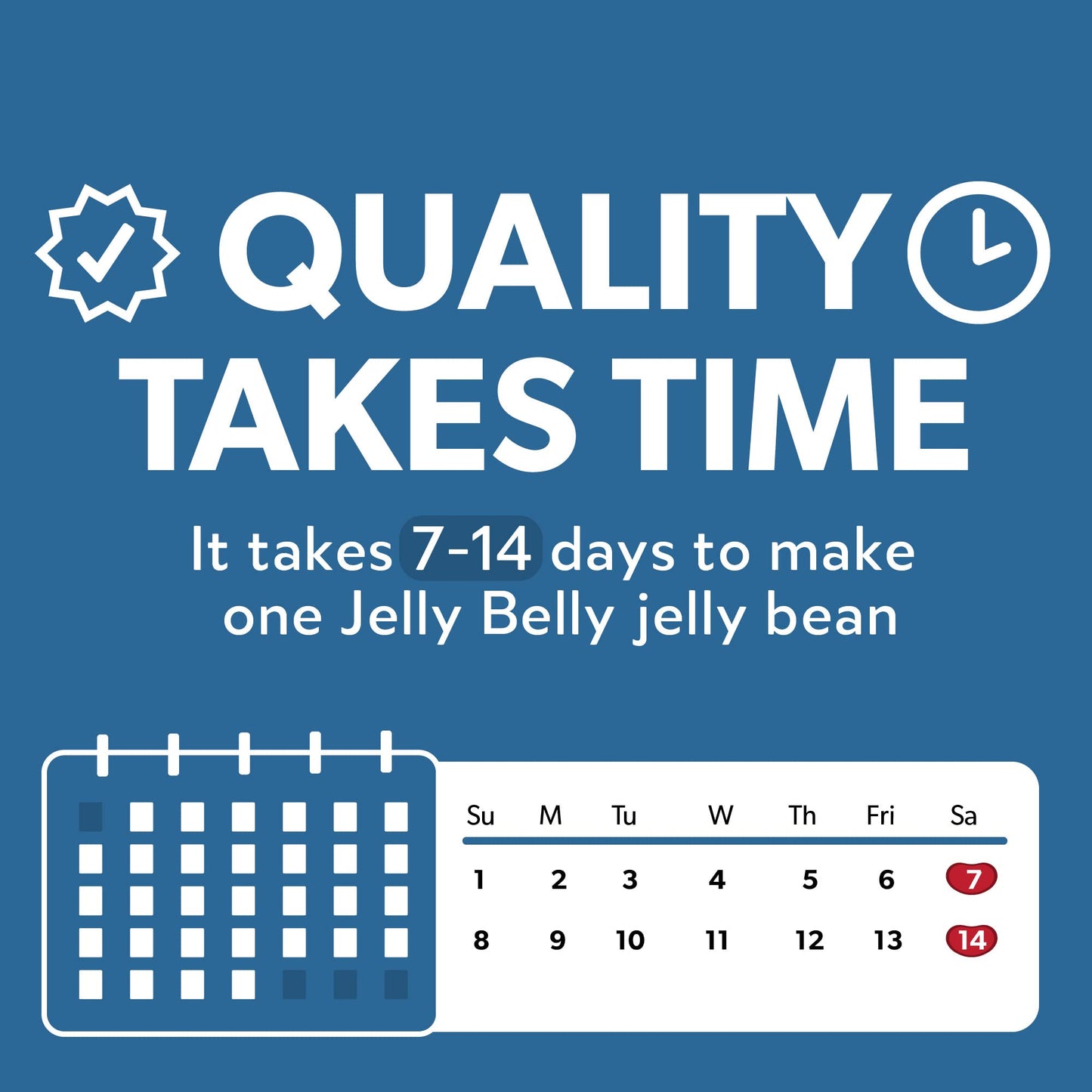 Jelly Belly Sugar Free - 8.25 oz Bag - Official, Genuine, Straight from the Source