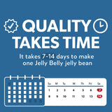 Jelly Belly Sugar Free - 8.25 oz Bag - Official, Genuine, Straight from the Source