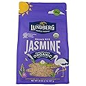 Lundberg Organic Jasmine Brown Rice - Long-Grain, Fluffy & Aromatic, Responsibly Grown in California, 32 Oz