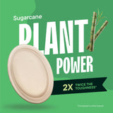 100% Compostable Oval Paper Plates [12.5 inch - 50-Pack] Elegant Disposable Dinner Platter Heavy-Duty Quality, Natural Bagasse Unbleached Eco-Friendly