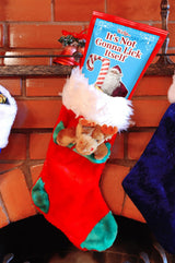 Lick Itself Cotton Candy for Her Christmas Lovers Gift Stocking Stuffers for Women Fun Holiday Candy Basket Ideas Gluten-Free Gourmet Blueberry
