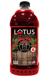Ruby Red Cascara | Lotus Plant Energy Drink Concentrate | Pure Cane Sugar | 64 fl oz | 1:5 | Natural Caffeine from Green Coffee Bean