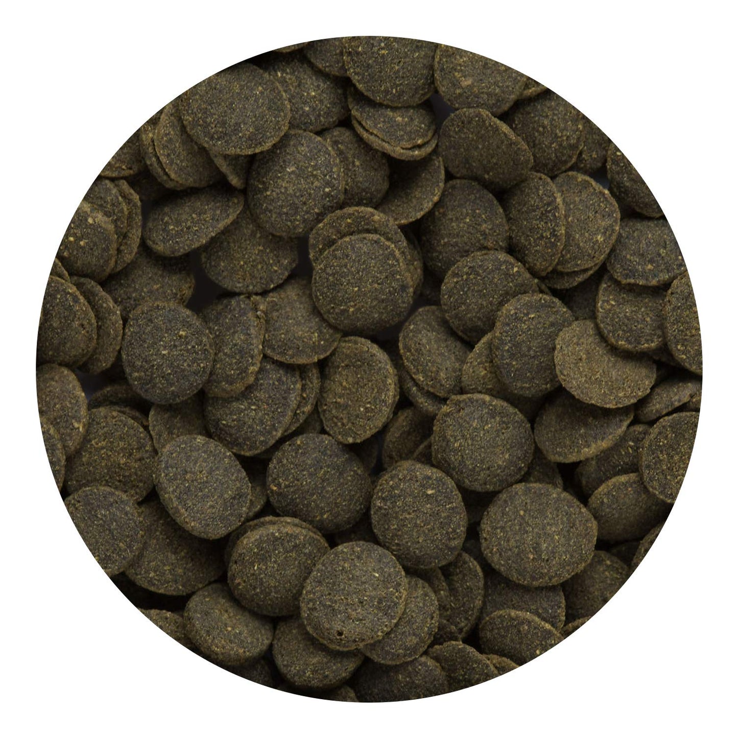 Hikari Mini Algae Wafers, 0.77 oz