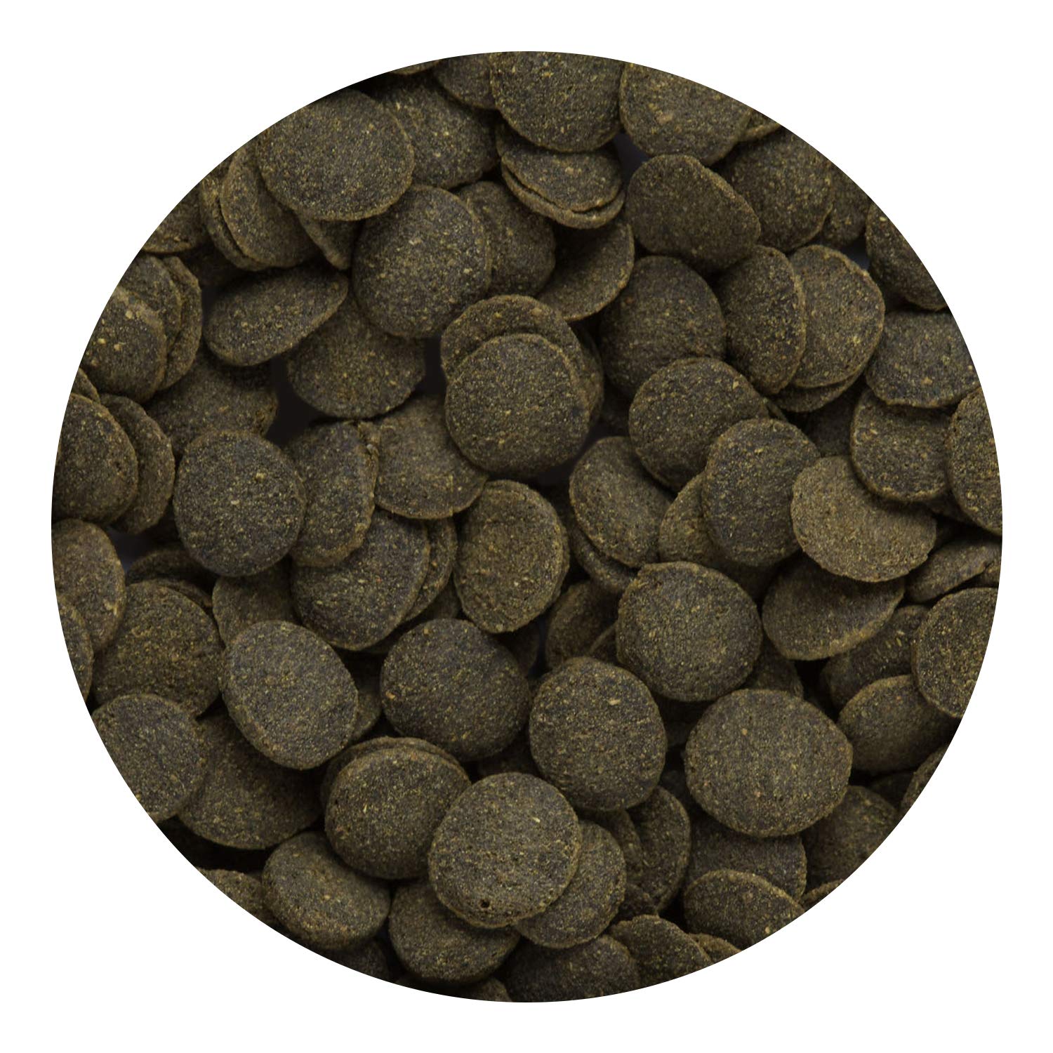 Hikari Mini Algae Wafers, 0.77 oz